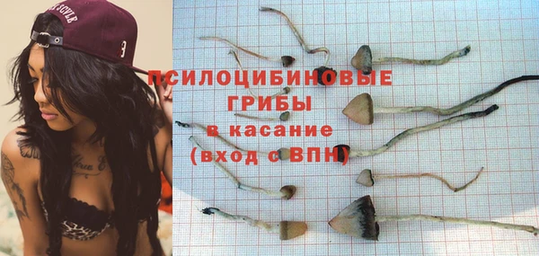 герыч Пестово