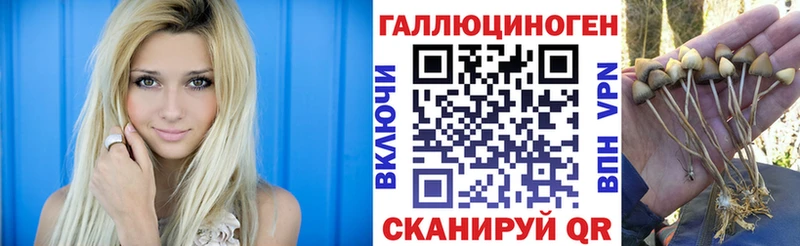 Галлюциногенные грибы мухоморы  Великий Устюг 