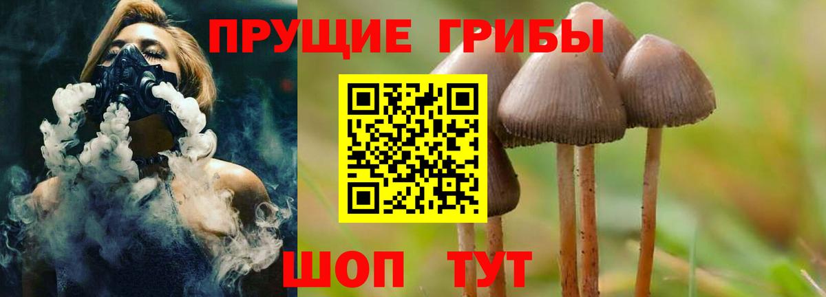 Псилоцибиновые грибы мухоморы  Вход с VPN  Великий Устюг 