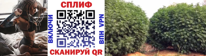 купить   Великий Устюг  Каннабис марихуана 